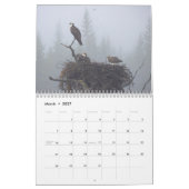 Yellowstone Wildlife Kalender (Mär 2027)