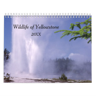 Yellowstone-Wildtierkalender Kalender