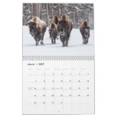 Yellowstone-Wildtierkalender Kalender (Mär 2027)