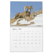 Yellowstone-Wildtierkalender Kalender (Feb 2027)
