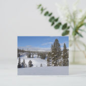 Yellowstone Winterlandschaft Fotografie Postkarte (Stehend Vorderseite)