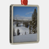 Yellowstone Winterlandschaft Fotografie Silbernes Ornament (Rechts)