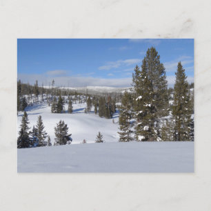 Yellowstone-Winterlandschaftsfotografie Postkarte