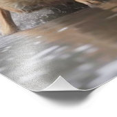 Yellowstone Wolf Foto Print (Ecke)