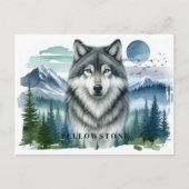 Yellowstone Wolf Postcard Postkarte (Vorderseite)