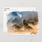 Yellowstone Wolf Postcard Postkarte (Vorne/Hinten)
