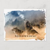 Yellowstone Wolf Postcard Postkarte (Vorderseite)