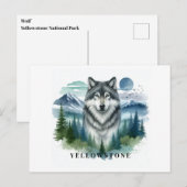Yellowstone Wolf Postcard Postkarte (Vorne/Hinten)