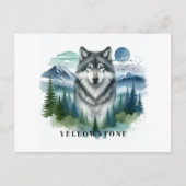 Yellowstone Wolf Postcard Postkarte (Vorderseite)