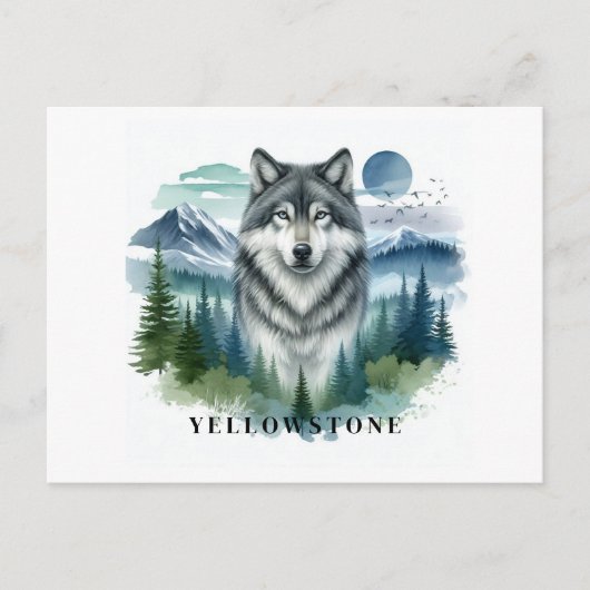 Yellowstone Wolf Postcard Postkarte (Vorderseite)