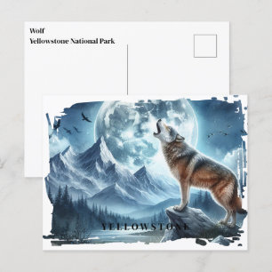 Yellowstone Wolf Postcard Postkarte