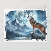 Yellowstone Wolf Postcard Postkarte (Vorderseite)