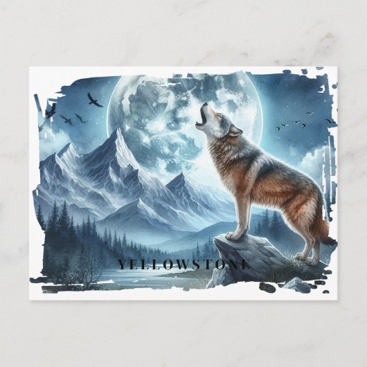Yellowstone Wolf Postcard Postkarte (Vorderseite)