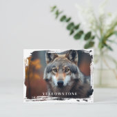 Yellowstone Wolf Postcard Postkarte (Stehend Vorderseite)
