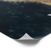 Yellowstone Wolf Poster (Ecke)