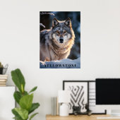 Yellowstone Wolf Poster Art (Heimbüro)