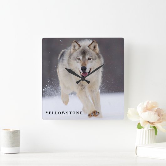 Yellowstone Wolf Quadratische Wanduhr (Zuhause)