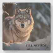 Yellowstone Wolf Sandstone Untersetzer (Vorderseite)