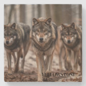 Yellowstone Wolf Sandstone Untersetzer (Vorderseite)