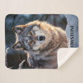 Yellowstone Wolf Sherpa Blanket Sherpadecke (Vorderseite (Horizontal))