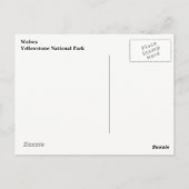 Yellowstone Wölfe Postkarte (Rückseite)