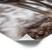 Yellowstone Wolves Foto Print (Ecke)