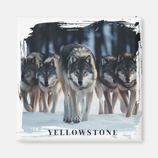 Yellowstone Wolves Magnet (Vorne)