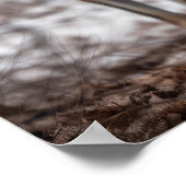 Yellowstone Wolves Poster Art (Ecke)