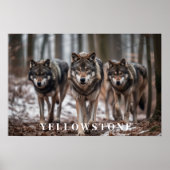 Yellowstone Wolves Poster Art (Vorne)