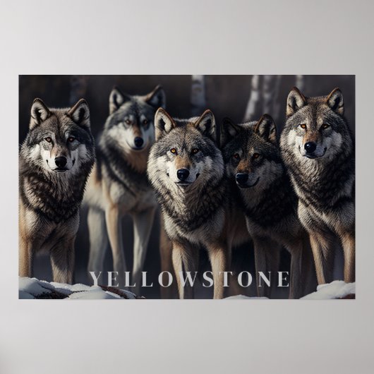 Yellowstone Wolves Poster Art (Vorne)