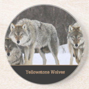 Yellowstone Wolves Sandstone Untersetzer