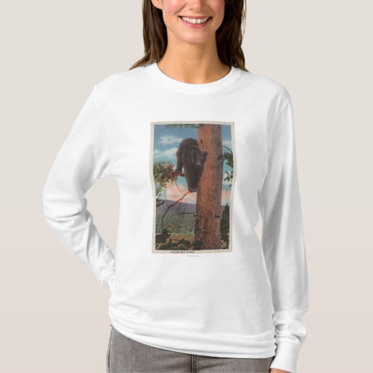 Yellowstone, WYView des schwarzen Bären im Baum T-Shirt (Vorderseite)