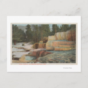 Yellowstone, WYView of Angel Terrace Postkarte