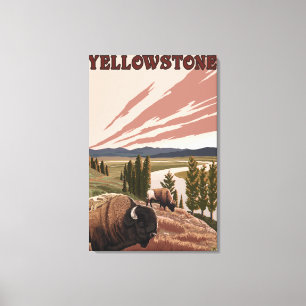 YellowstoneBison Scene Leinwanddruck