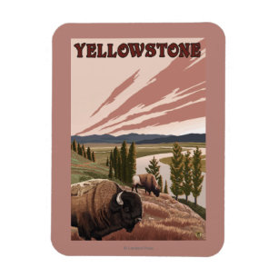 YellowstoneBison Scene Magnet