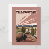 YellowstoneBison Scene Postkarte (Vorne/Hinten)
