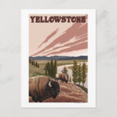 YellowstoneBison Scene Postkarte (Vorderseite)