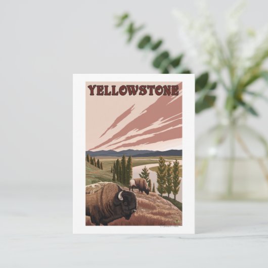 YellowstoneBison Scene Postkarte (Stehend Vorderseite)