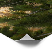 Yellowstones Artist Point Poster (Ecke)
