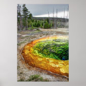 YELLOWSTONE'S MORGENS GLORY POOL POSTER (Vorne)