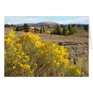 Yellowstonevista
