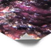 Yellowtail Coris Wrasse Poster (Ecke)