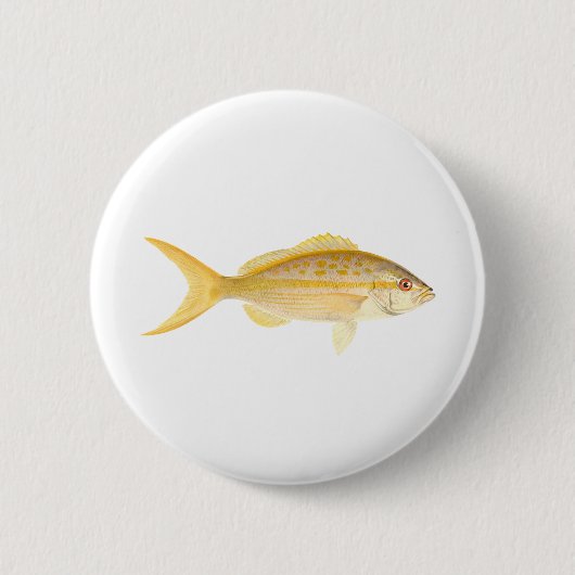 Yellowtail Snapper-Logo Button (Vorderseite)