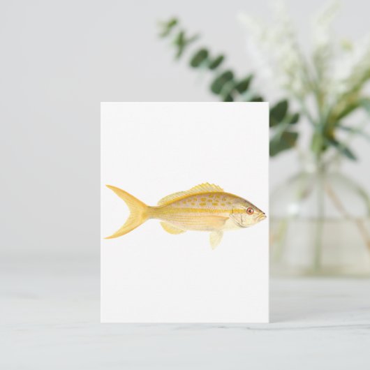 Yellowtail Snapper-Logo Postkarte (Stehend Vorderseite)