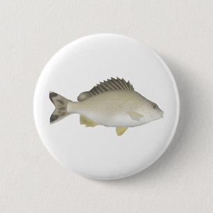 Yellowtail Trumpeter Button