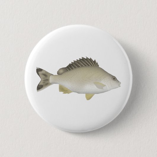 Yellowtail Trumpeter Button (Vorderseite)