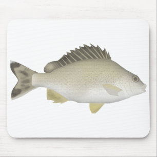 Yellowtail Trumpeter Mousepad