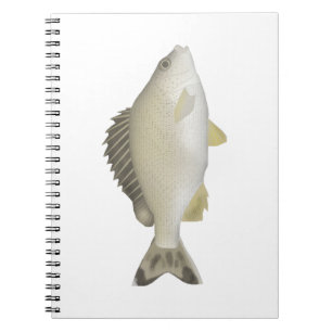 Yellowtail Trumpeter Notizblock