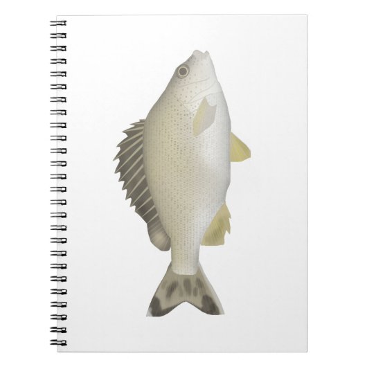 Yellowtail Trumpeter Notizblock (Vorderseite)