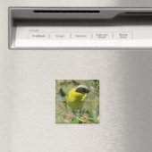 Yellowthroat Magnet (In Situ (Geschirrspüler))